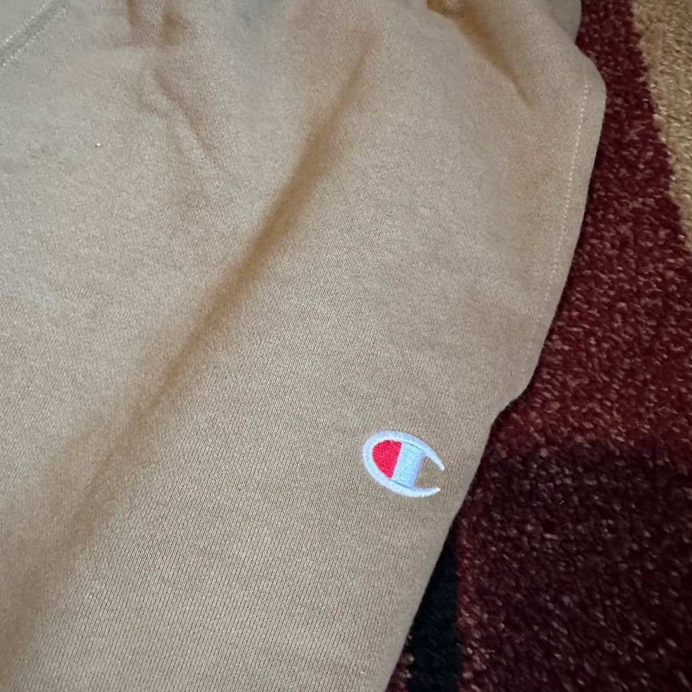Men’s champion sweat pants